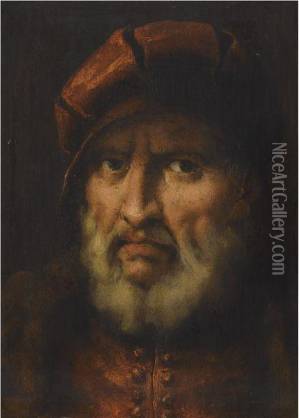 Head Of A Bearded Man, Wearing A Red Cap And Red Shirt Oil Painting - Pietro Della Vecchio