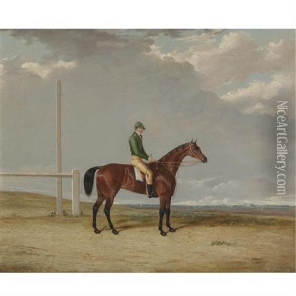 A Bay Racehorse Lady Fane With Jockey Up On A Racecourse Oil Painting - Thomas Walker Bretland
