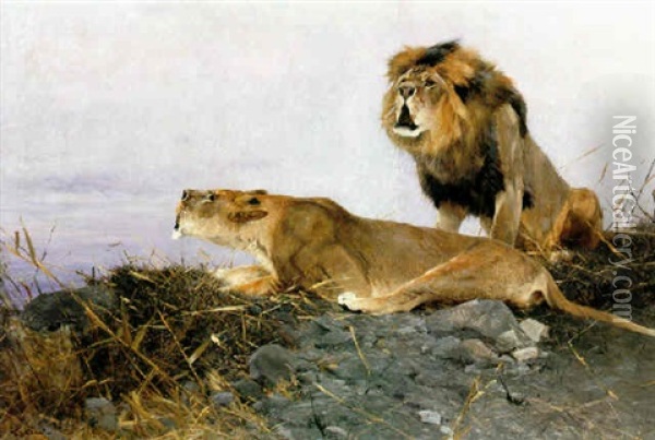 Brullende Lowen (roaring Lions) Oil Painting - Wilhelm Friedrich Kuhnert