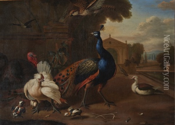 A Peacock, A Turkey, A Chicken And Other Birds In An Ornamental Garden Oil Painting - Melchior de Hondecoeter