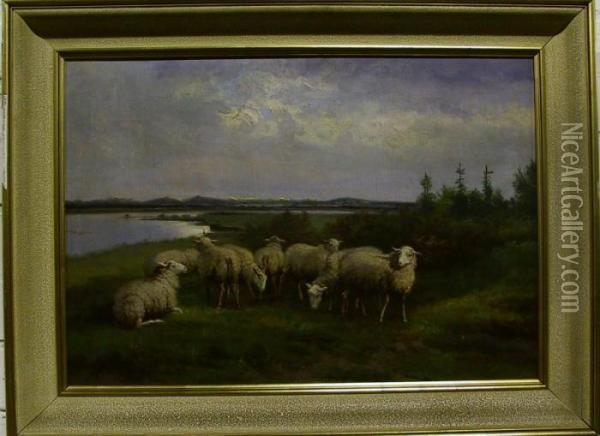 Description:schapen In Een Wei Aan De Rivier Oil Painting - Jef Louis Van Leemputten