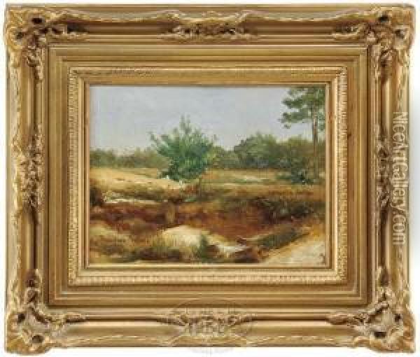 California Landscape Oil Painting - Theodore Wores