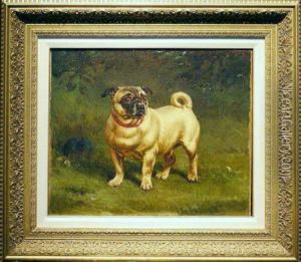 Dog Painting, The European Breeds Oil Painting - William Hopkins Craft