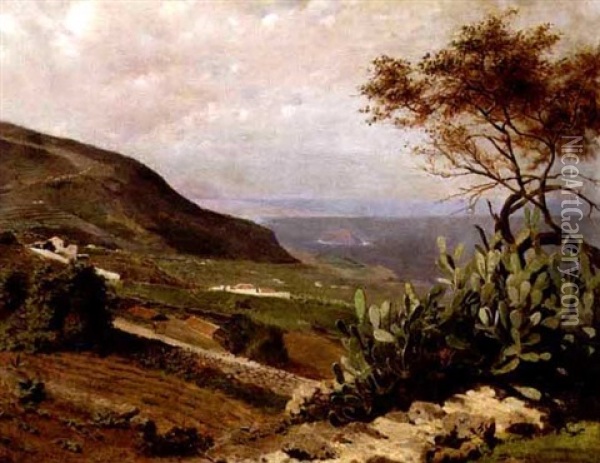 Mexican Landscape With Cactus Oil Painting - Bror Anders Wikstrom