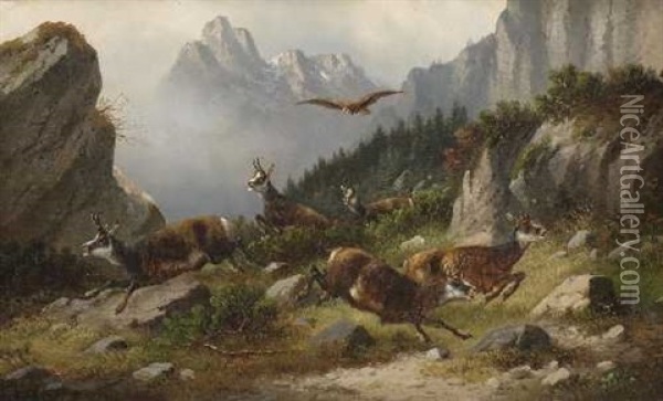 Gamsen Im Hochgebirge Oil Painting - Moritz Mueller the Elder
