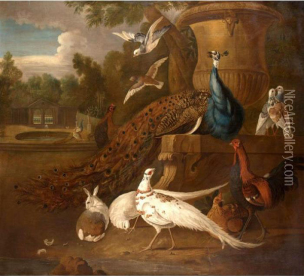 Peacocks, White Pheasants, 
Doves, A Hen, A Cockerel, A Rabbit Together In A Parkland Landscape Oil Painting - Pieter III Casteels