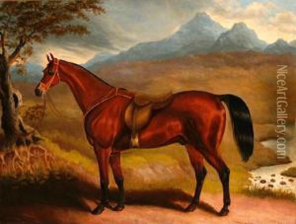 A Portrait Of T.e. Freeman's Samron Oil Painting - Samuel Spode