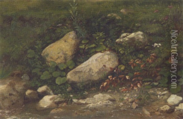 Steine Und Pflanzen Am Bach Oil Painting - Julius von Blaas