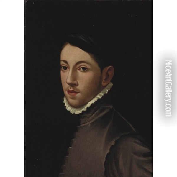 Portrait Of A Boy Oil Painting - Alonso Sanchez Coello