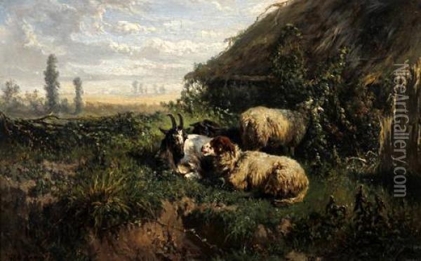 Sheep Resting By A Bothy In A Wooded Landscape Oil Painting - Johannes-Hubertus-Leonardus de Haas