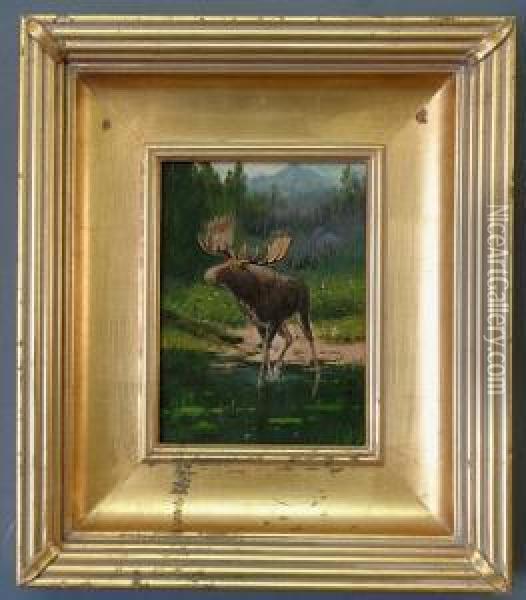 A Moose Oil Painting - John Moran