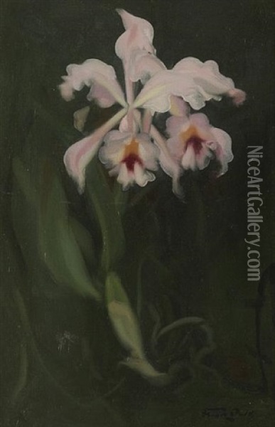 Pink Orchid Oil Painting - Stuart James Park
