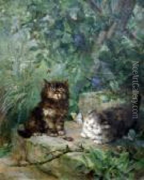Kittens Hunting Bugs In A Garden Oil Painting - Henriette Ronner-Knip