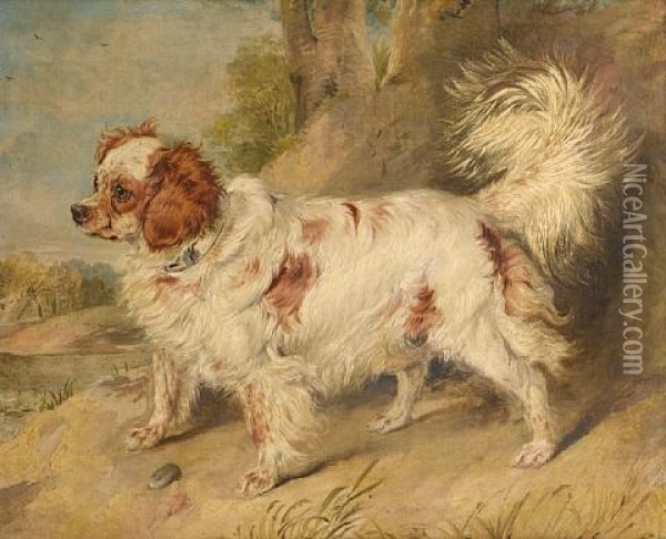 A Dog Of The Marlborough Breed Oil Painting - Sir Edwin Henry Landseer