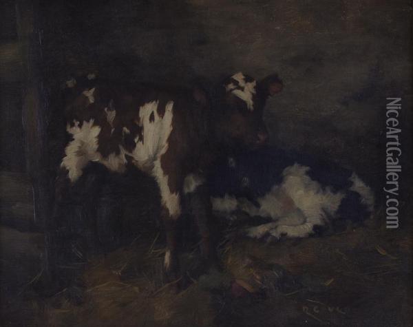 Calves In A Stable Interior Oil Painting - David Gauld