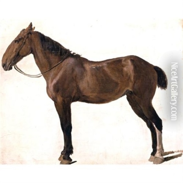 Portrait Of A Horse Oil Painting - Jacques-Laurent Agasse