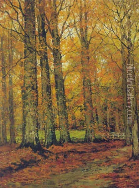An Autumn Forest Oil Painting - Arnold Marc Gorter