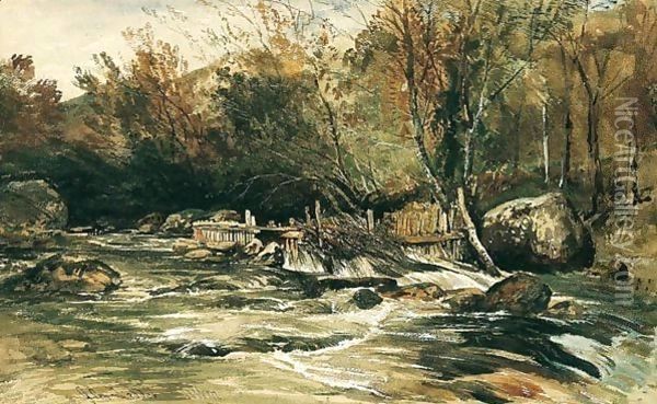 Salmon Trap On The River Lledr, North Wales Oil Painting - William James Muller