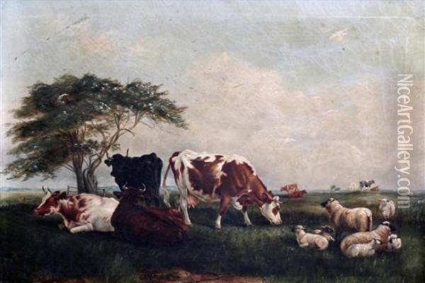 Cattle And Sheep In An Open Landscape Oil Painting - Louisa Johnson
