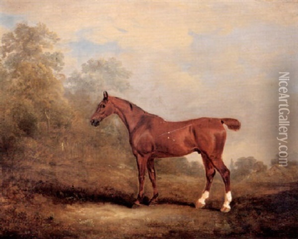 Cecil, A Favorite Hunter Of The Earl Of Jersey In A         Landscape Oil Painting - John E. Ferneley