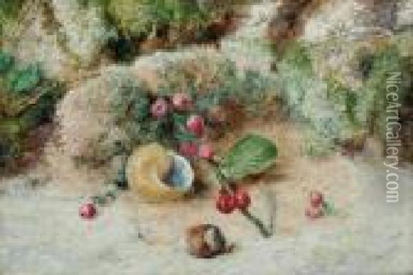 Stilllife Of A Snail's Shell Oil Painting - William Henry Hunt