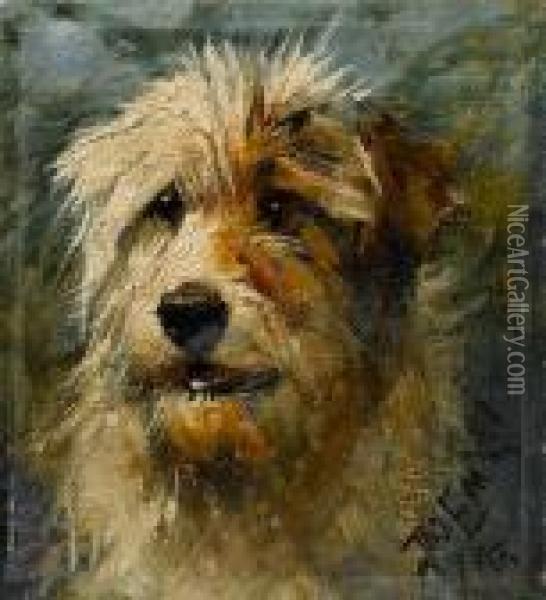 Head Of A Terrier Oil Painting - John Emms