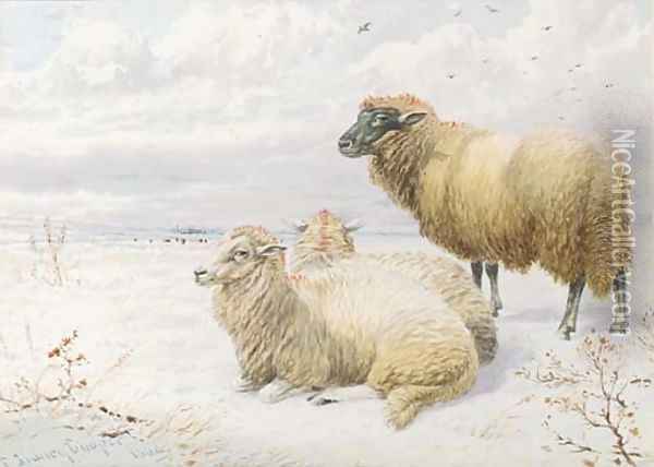 Sheep resting in the snow 2 Oil Painting - Thomas Sidney Cooper