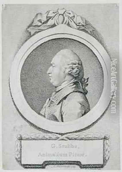 Portrait study of George Stubbs 1724-1806 Oil Painting - Pierre-Etienne Falconet