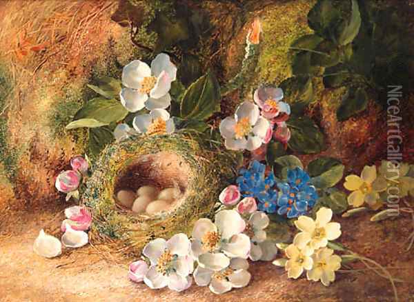 Apple Blossom, Primroses, a Bird's Nest with Eggs, on a mossy Bank Oil Painting - Vincent Clare