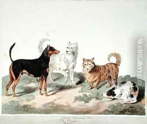 The Terrier Oil Painting - Sydenham Teast Edwards