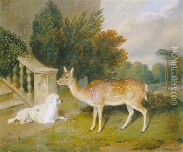 A Favourite Doe With A Poodle In A Park Oil Painting - Edward Webb