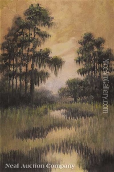 Cypress Trees In The Louisiana Bayou Oil Painting - Alexander John Drysdale