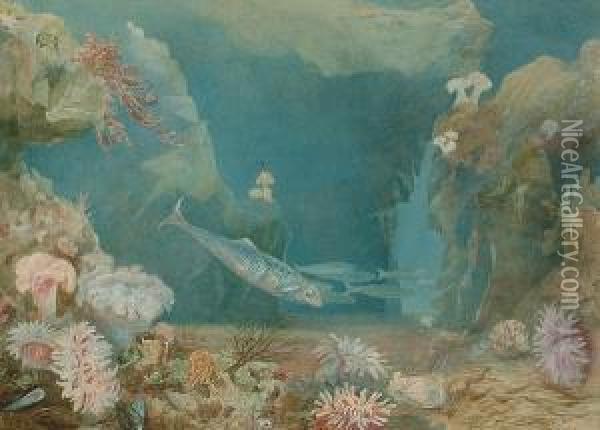The Garden Of The Nereides; Gurnards From The Brighton Aquarium Oil Painting - Fanny E. Thomas