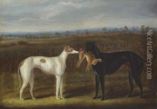 Pair Of Greyhounds With A Hare Oil Painting - Samuel Spode