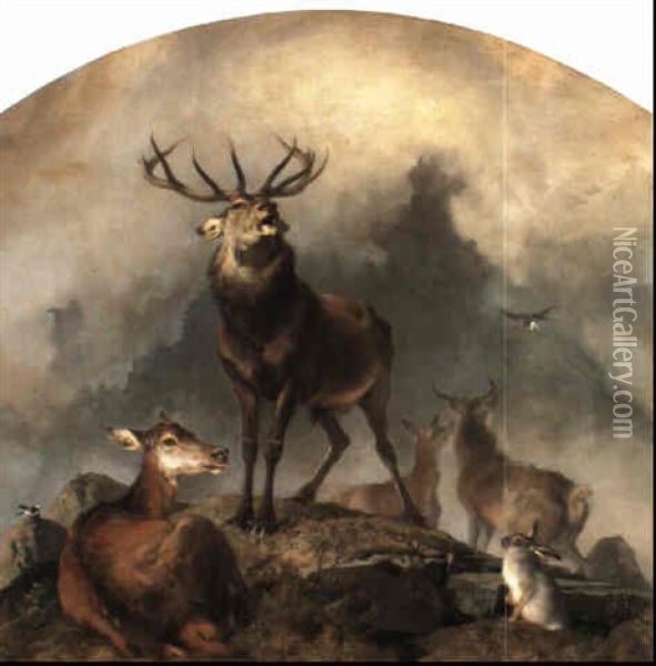 Scene In Braemar - Highland Deer Oil Painting - Sir Edwin Henry Landseer