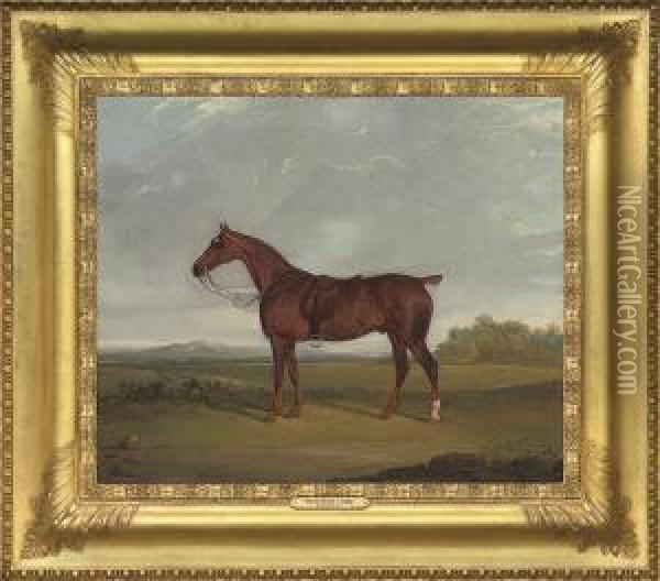 A Bay Hunter In A Landscape Oil Painting - David of York Dalby
