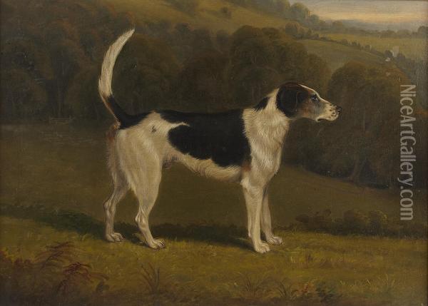 Rambler, A Hound Oil Painting - James Barenger