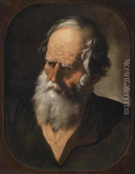 Bust Of A Bearded Man Oil Painting - Andrea Sacchi