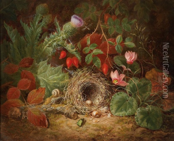 A Still Life With Bird Nestnest, Cyclamen Flowers, Thistles And Rose Hips Oil Painting - Josef Lauer