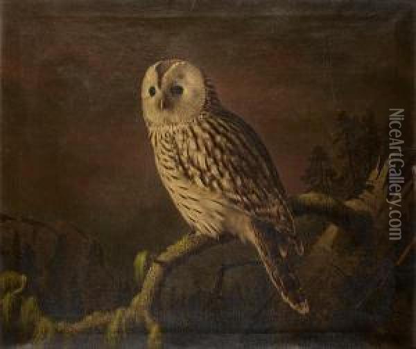 A Ural Owl Perching On A Branch Oil Painting - Ferdinand Wilhelm Von Wright