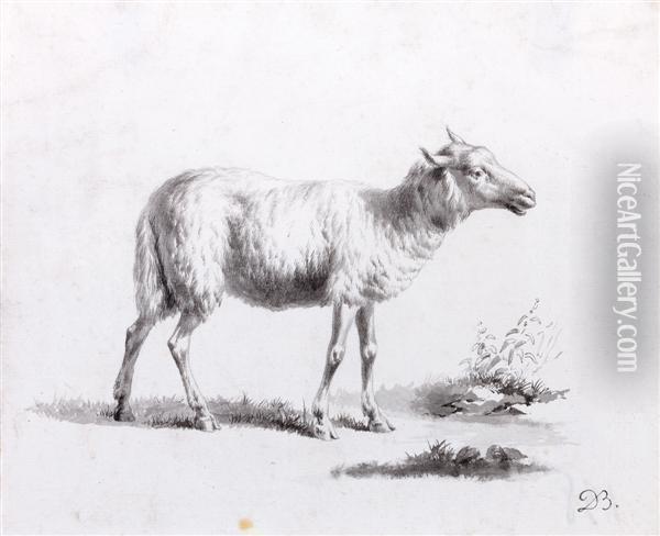 Etude De Mouton Oil Painting - Jean-Jacques De Boissieu