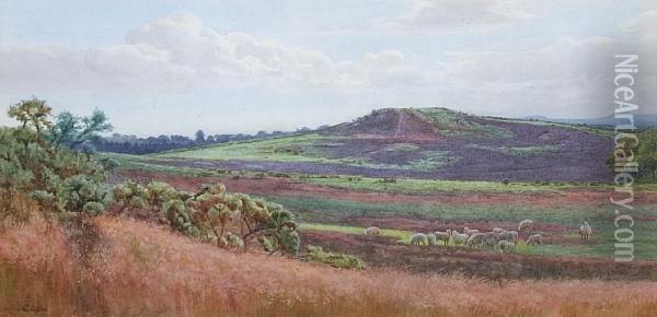 Mousehill Downs Oil Painting - Charles Low