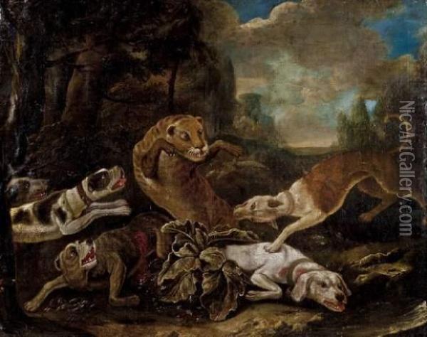 Attaque D'un Lion Par Des Chiens Oil Painting - Jan Fyt