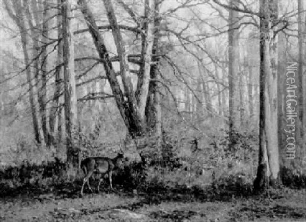 Deer In An Autumn Wood Oil Painting - William Baptiste Baird