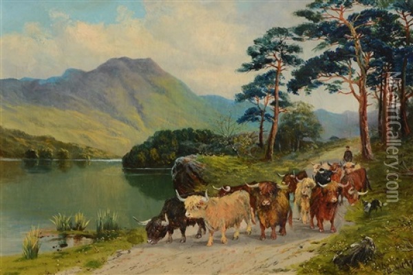 Herding Highland Cattle Oil Painting - John Middleton