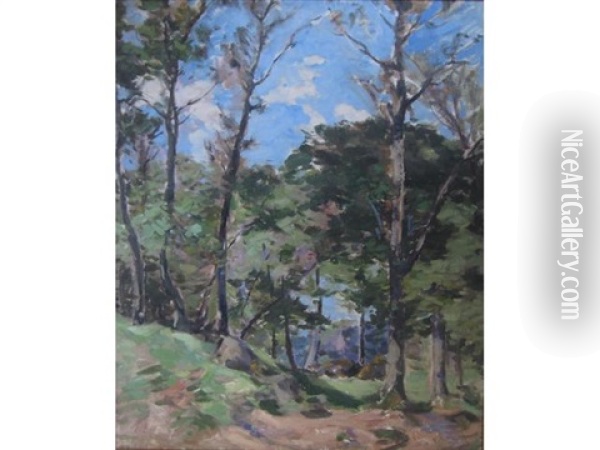 Corstorphine Woods Oil Painting - John Campbell Mitchell