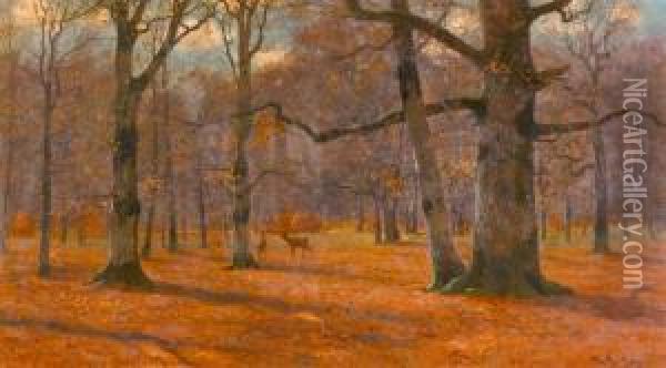 Waldlandschaft Mit Rehen. Oil Painting - Peter Paul Muller