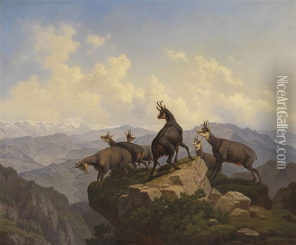 Gemsen Im Karwendel Oil Painting - Friedrich Hohe