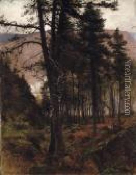 Woods In Braemar Oil Painting - Joseph Farquharson