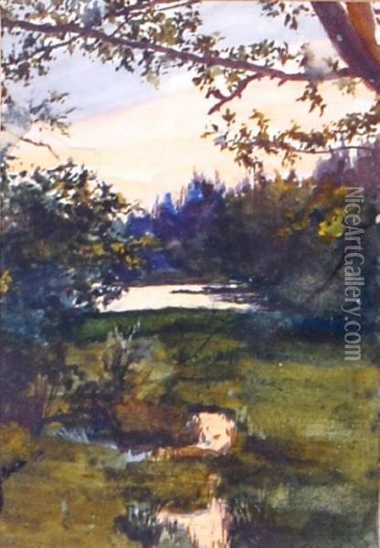 Maud Nicholls - Pools On Mousehold Heath Oil Painting - Catherine Maude Nichols